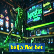 beija flor bet